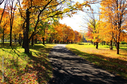 Park in Sapporo in autumn