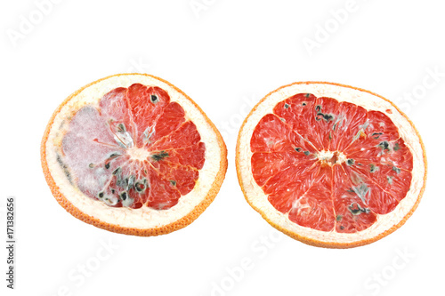 Rotten cut grapefruit with fungus isolated on white background