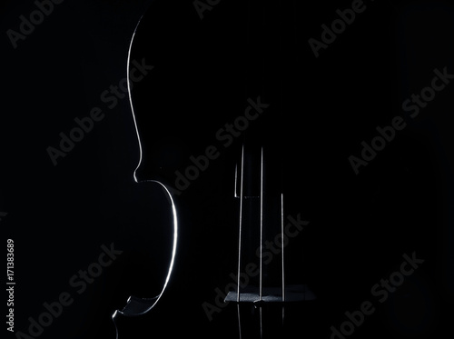 Wallpaper Mural violin, musical instrument Torontodigital.ca