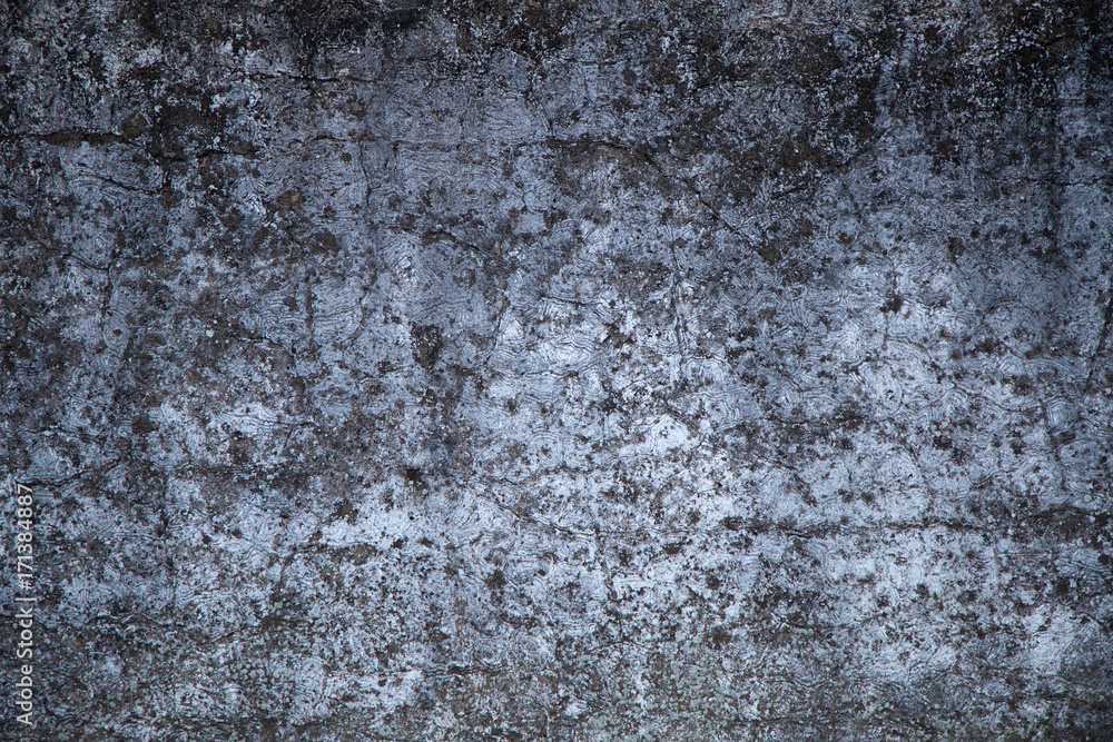 Fototapeta premium Grunge wall texture background. Highly detailed textured background. Perfect background spaced. 