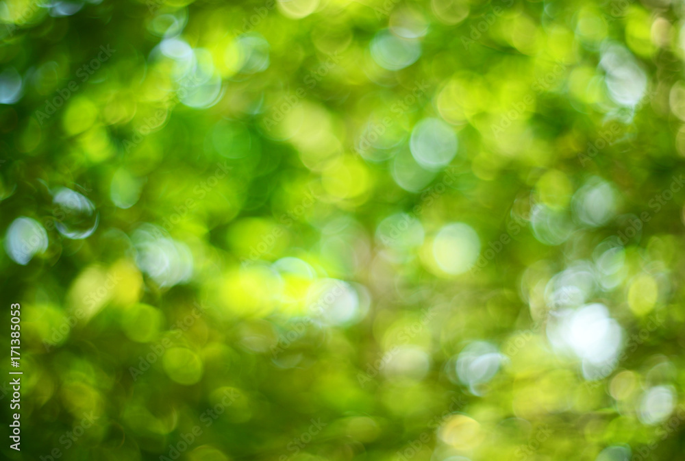 Obraz premium Green bokeh backgorund