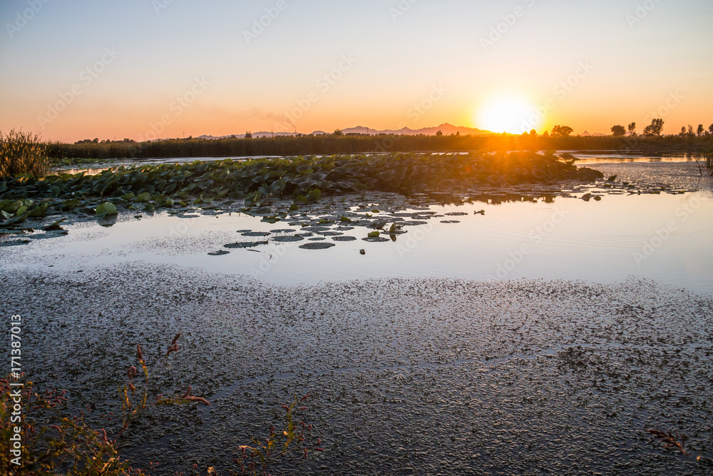 Autumn wetlands at sunrise