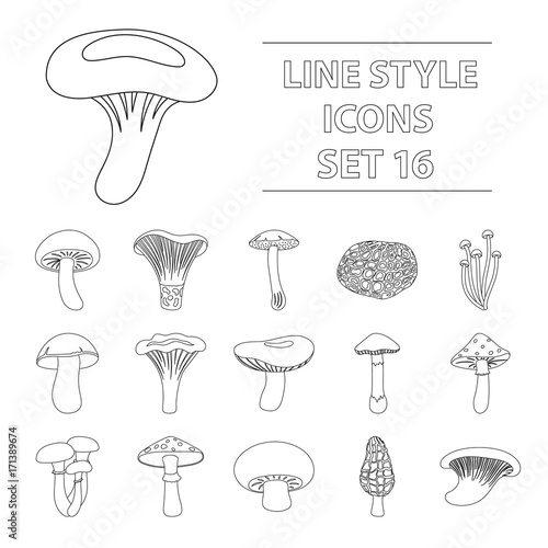 Mushroom set icons in outline style. Big collection of mushroom vector symbol stock illustration
