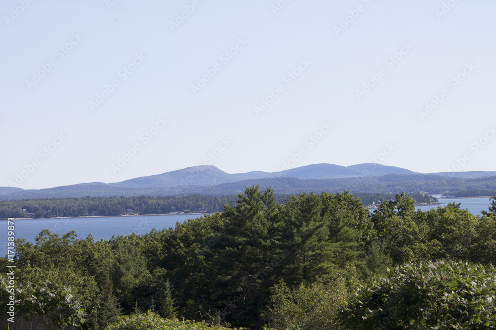 Obraz premium Ocean and Mountain Behind Trees