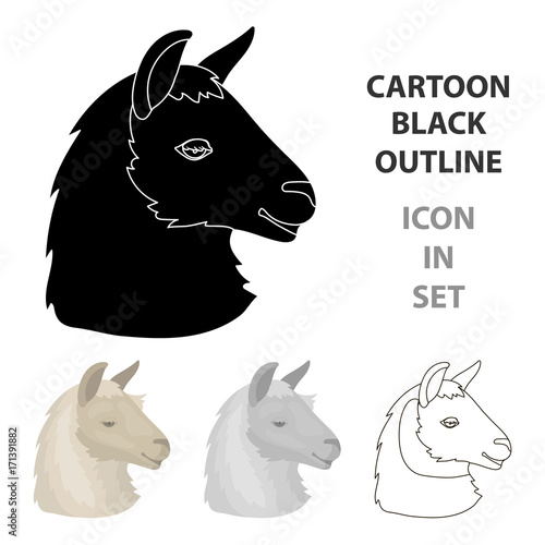 Lama icon in cartoon style isolated on white background. Realistic animals symbol stock vector illustration.