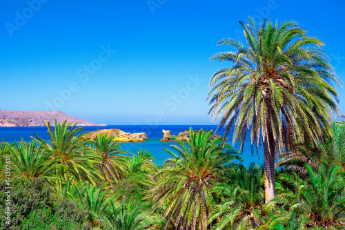 Scenic landscape of palm trees, turquoise water and tropical beach, Vai, Crete, Greece. © gatsi