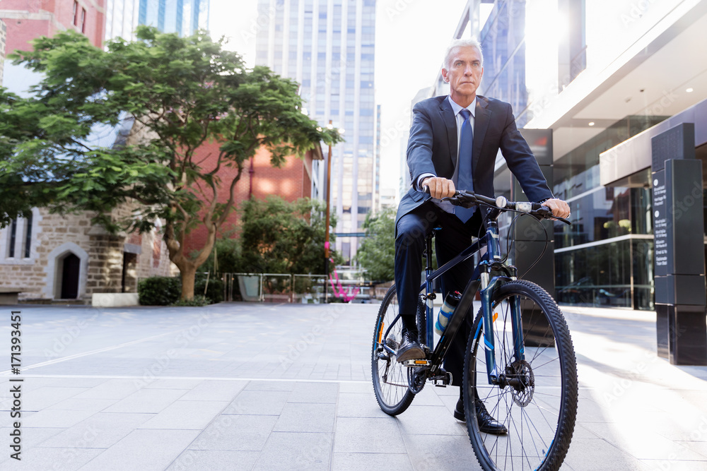 Fototapeta premium Successful businessman riding bicycle
