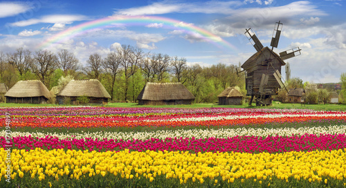 Fototapeta Naklejka Na Ścianę i Meble -  Pirogiv on a spring day