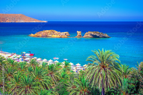 Fototapeta Naklejka Na Ścianę i Meble -  Scenic landscape of palm trees, turquoise water and tropical beach, Vai, Crete, Greece.