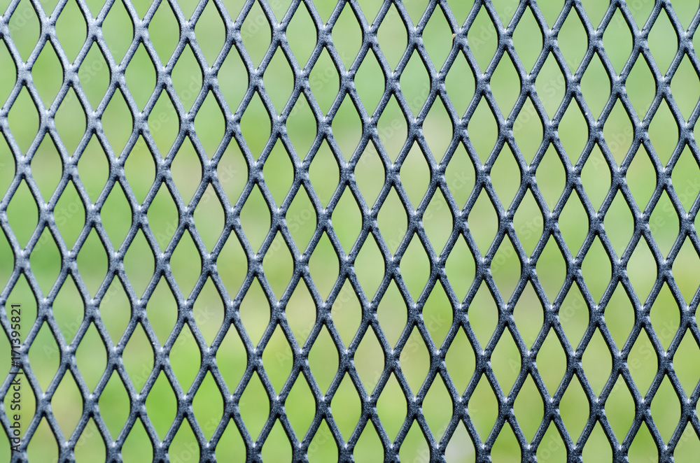 Close-up photo of a structure of iron mesh with green lawn in the background Close-up photo of a structure of iron mesh with green lawn in the background