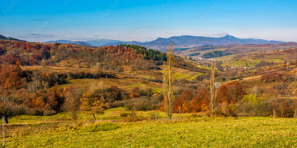 rural grassy fields on hills in gorgeous mountains. stunning panorama of countryside landscape in autumn