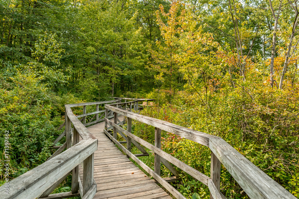 A wooden bridge in the woods, nature perverse hiking trail. 