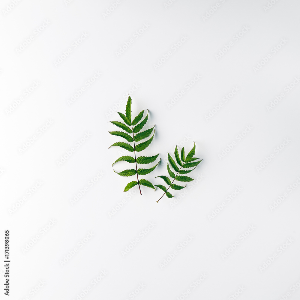 Nature Minimal Concept Nature Minimal Concept