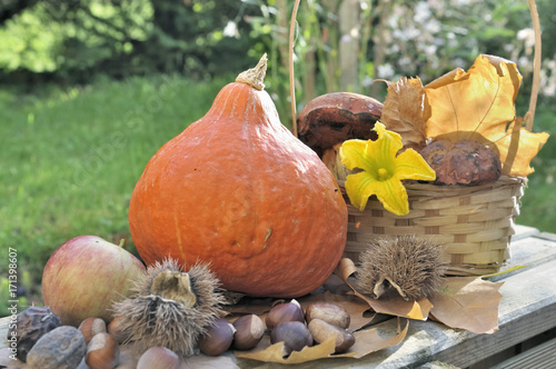 légumes et fruits automnal dans jardin