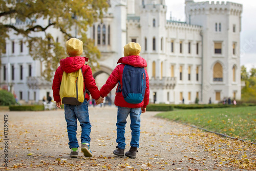 Two beautiful children, boy brothers, walking on a path in beautiful renaissance castle Hluboka