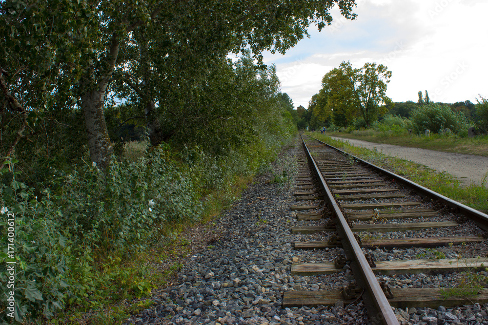 Railway tracks lead by nature
