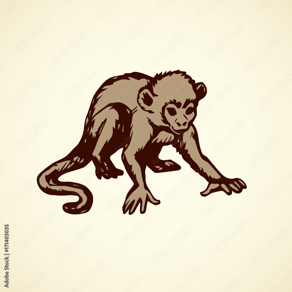Obraz premium Chimpanzee. Vector illustration