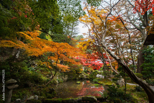 紅葉と木々とため池と