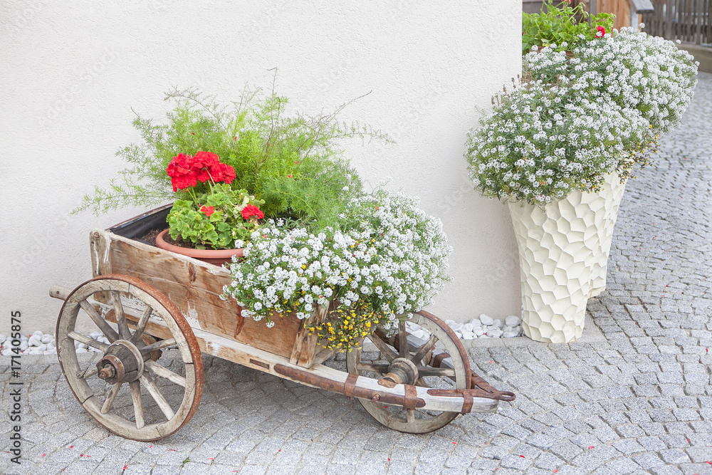 street design with cart and flowers