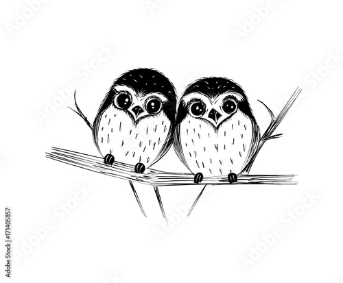 Cute couple of owls on branch isolated on white. Vector illustration.