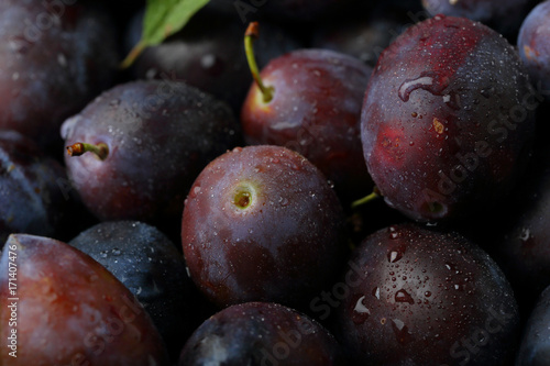 Organic plums with water drops