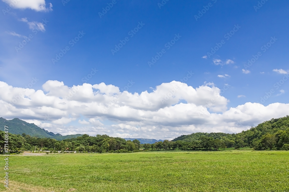Green grass field rural landscape