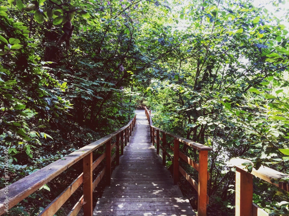 Amazing wood bridge among wild thick forest. Amazing wood bridge among wild thick forest.