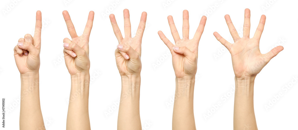 Female hand counting from one to five Female hand counting from one to five
