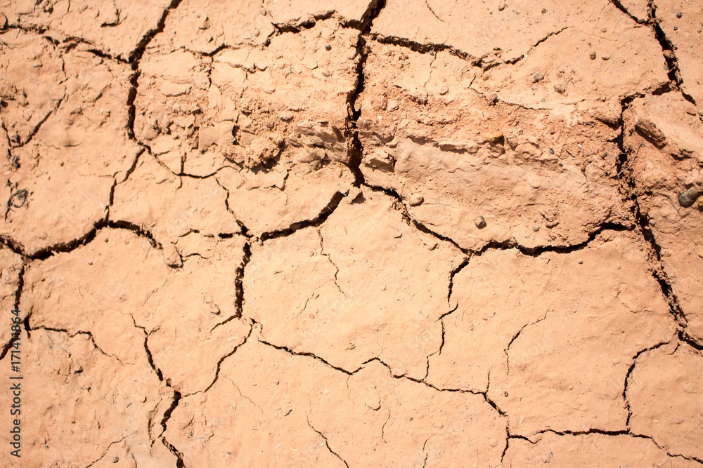 Dry land, Ground caused by drought. Dry land, Ground caused by drought.