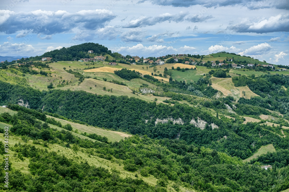 Summer landscape near Serramazzoni (Modena, Italy)