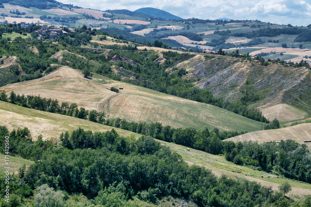 Rivalta di Lesignano (Parma, Italy): summer landscape