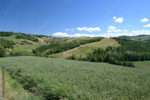 Rivalta di Lesignano (Parma, Italy): summer landscape © Claudio Colombo