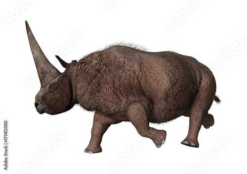 3D Rendering Rhinoceros Elasmotherium on White © photosvac