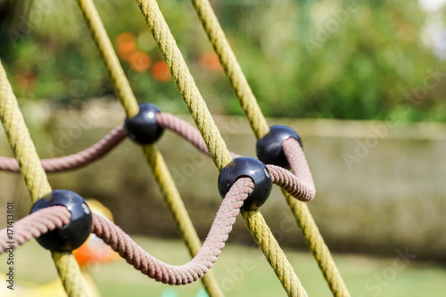 detail of crossed red ropes in green back photo