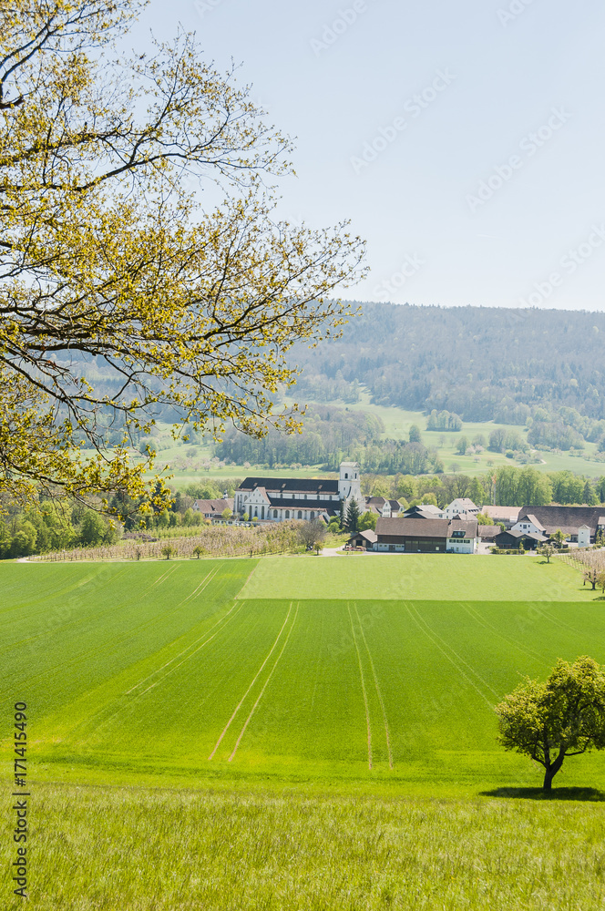 Naklejka premium Mariastein, Dorf, Kloster, Kloster Mariastein, Spazierweg, Wanderweg, Wallfahrt, Landwirtschaft, Felder, Obstbaum, Frühling, Schweiz