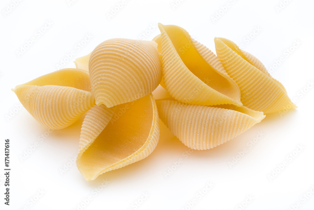 Italian lumaconi isolated on white background. Italian lumaconi isolated on white background.