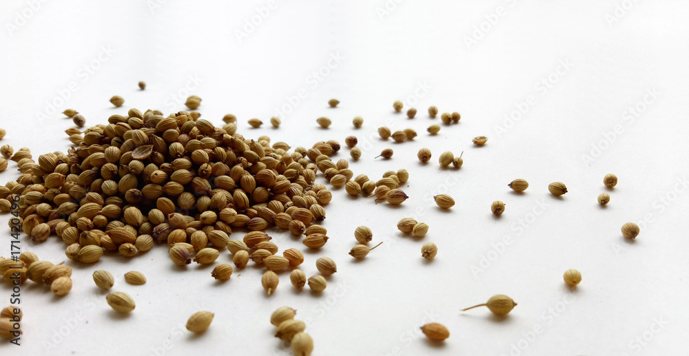 Coriander seeds Coriander seeds