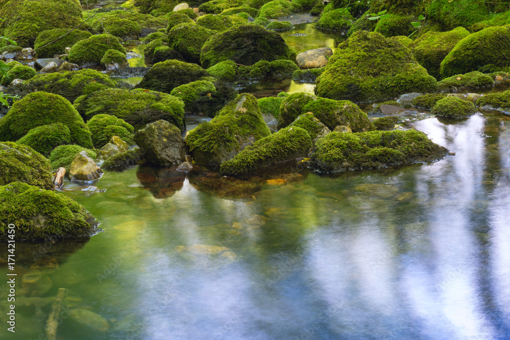 stones in green moss. mountain river in france.
