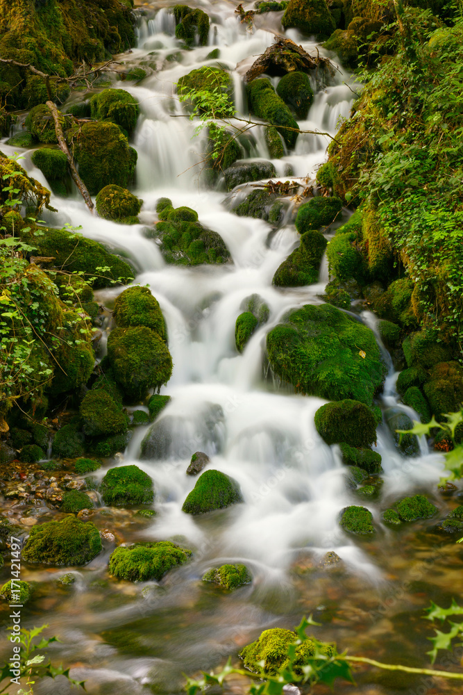 stones in green moss. mountain river in france. stones in green moss. mountain river in france.