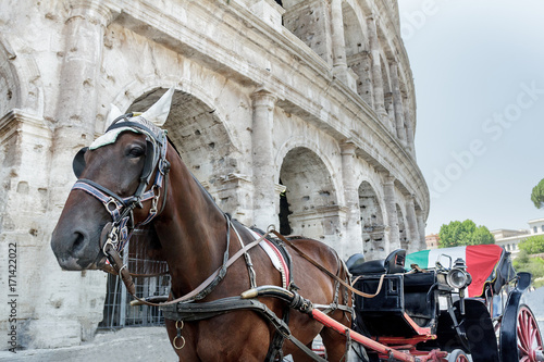 Photography Horse drawn carriage or botticella in Italian on summer Rome street in front of