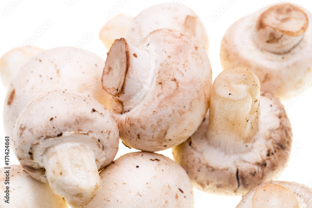 Mushrooms champignons on a white background Mushrooms champignons on a white background