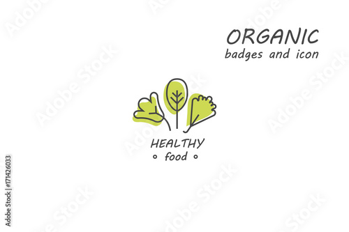 Green and organic products label or badge - icons and illustrations related to fresh