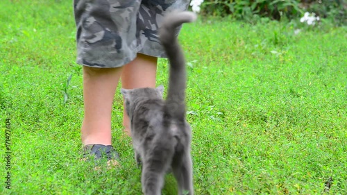 Gray cat stroking your child's legs
