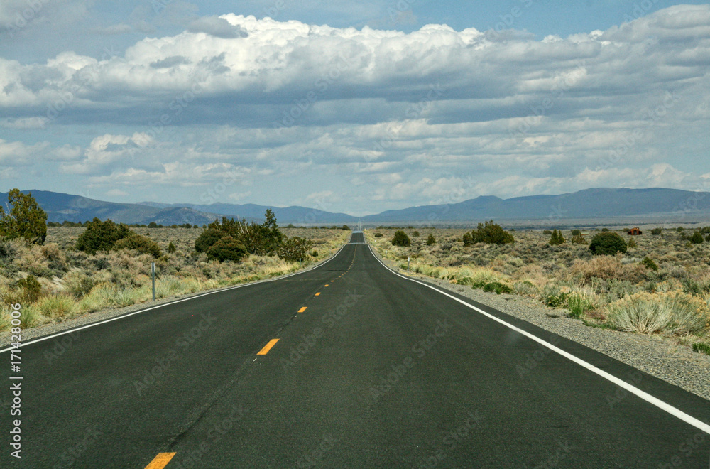 A very long long straight road throug american desert