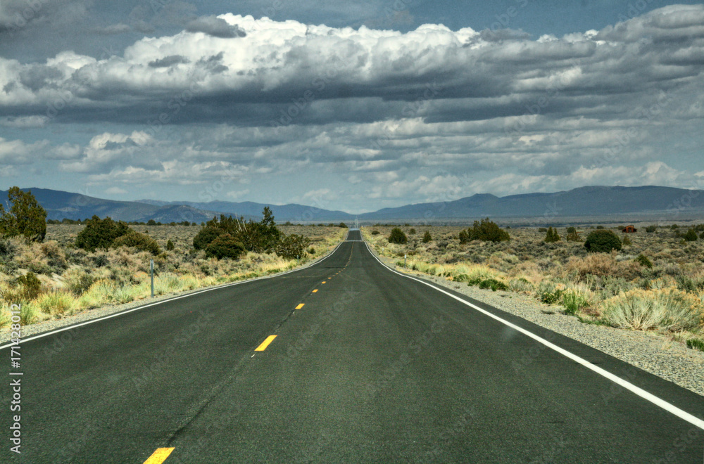Fototapeta premium A very long long straight road throug american desert