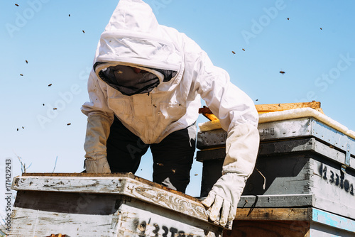 Beekeeper working collect honey. photo