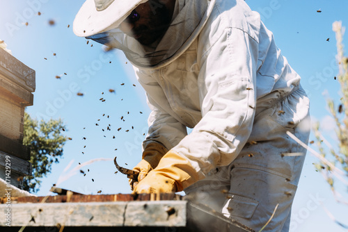 Beekeeper working collect honey.