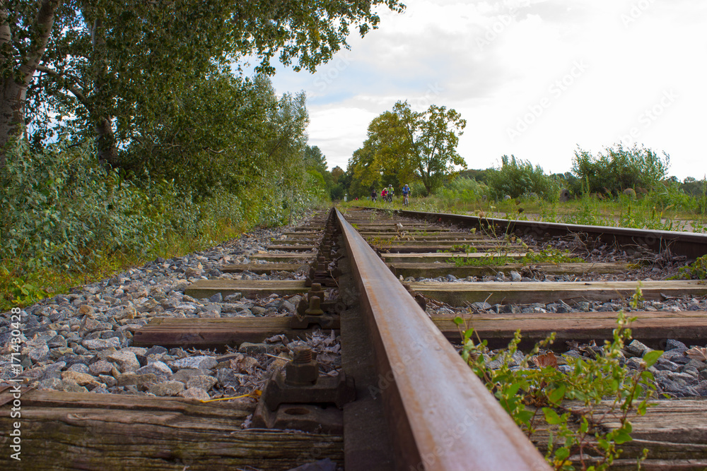Railway tracks lead by nature and cyclists