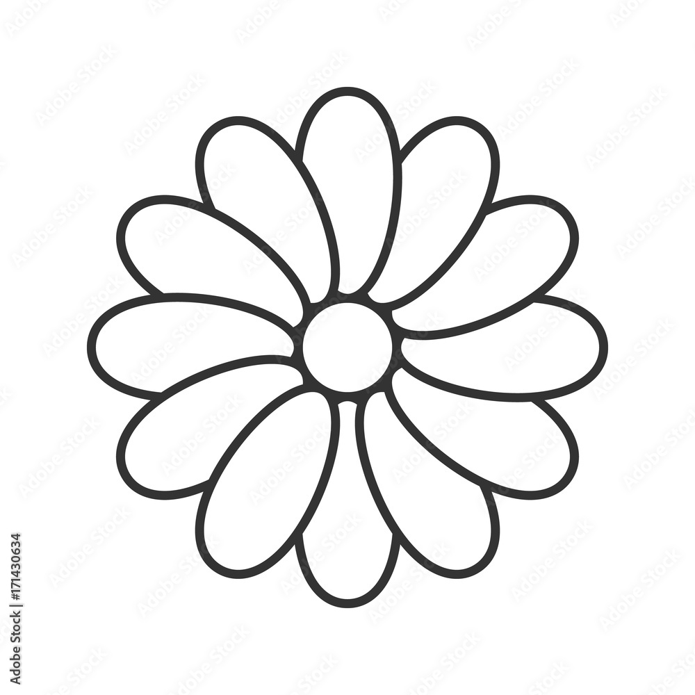 Chamomile head linear icon Chamomile head linear icon