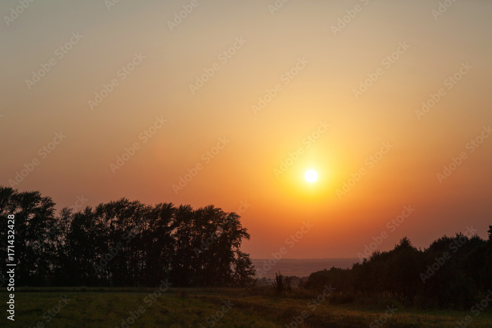 Sunset in the field